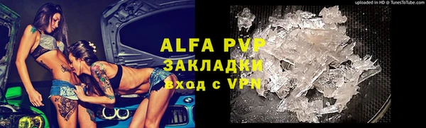 ГАЛЛЮЦИНОГЕННЫЕ ГРИБЫ Липки