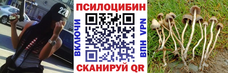 Галлюциногенные грибы GOLDEN TEACHER  Купить где  Арамиль 
